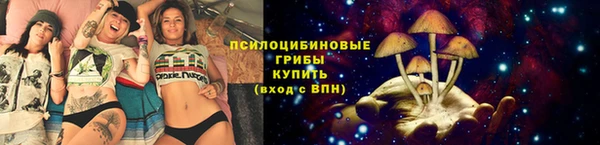 винт Карпинск