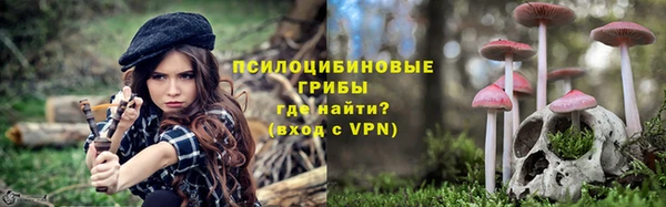 героин Каменка