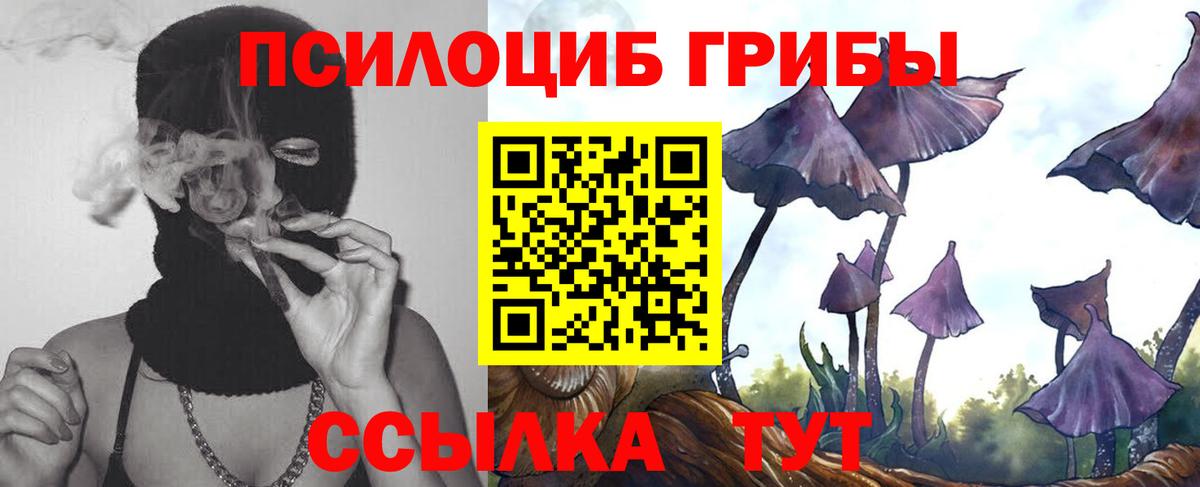 Псилоцибиновые грибы Psilocybe  Псилоцибиновые грибы Cubensis  Вход с VPN  Мариинск 